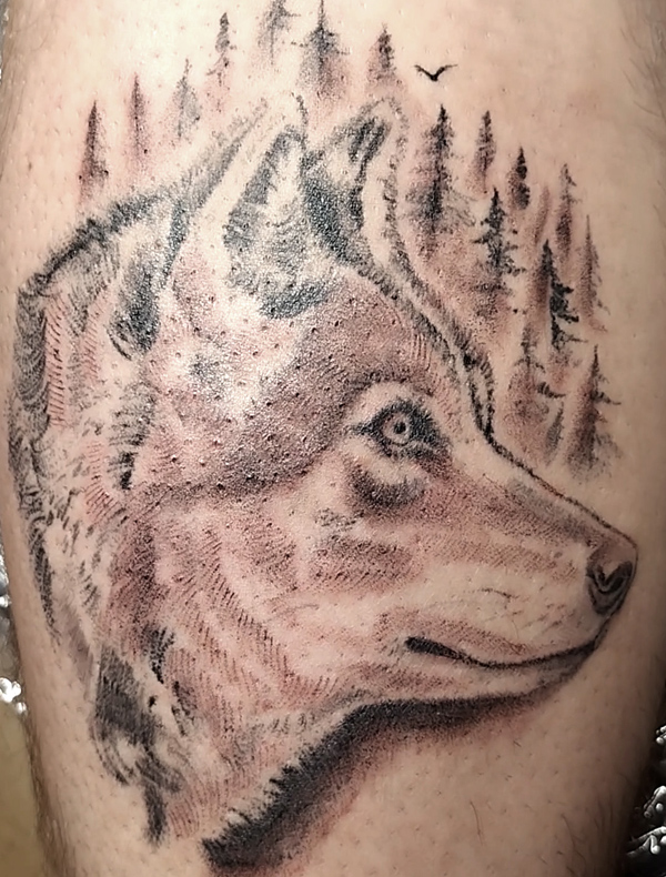tatouage loup realiste annecy